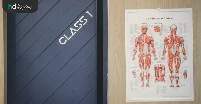 content review shoulder pain package at newton em by anusit kaewploy 5