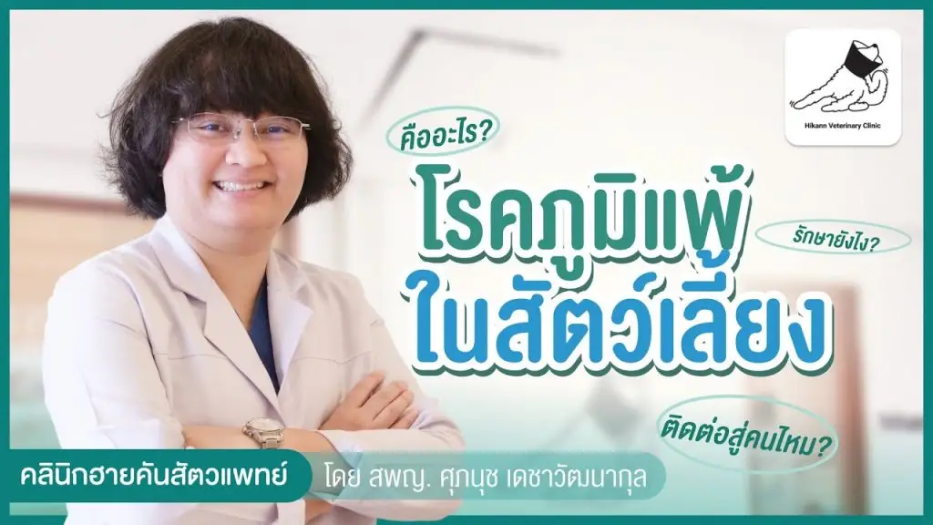 โรคภูมิแพ้ในสัตว์เลี้ยงคืออะไร