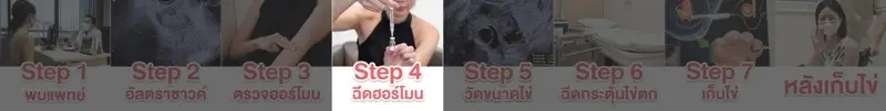 content 004