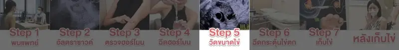HDreview รีวิว ฝากไข่ ที่ โรงพยาบาลพญาไท 2