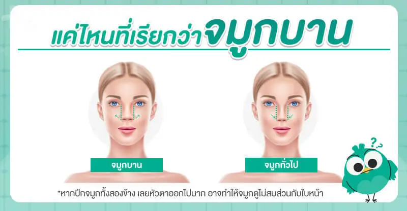 วิธีดูว่าจมูกบานไหม
