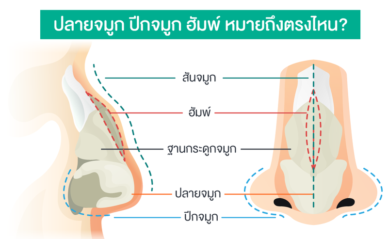 ศัลยกรรมจมูก เสริมจมูก คืออะไร? ทำอะไรได้บ้าง?