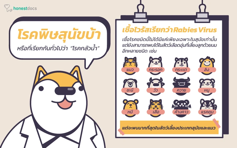 โรคสุนัขบ้า โรคกลัวน้ำ