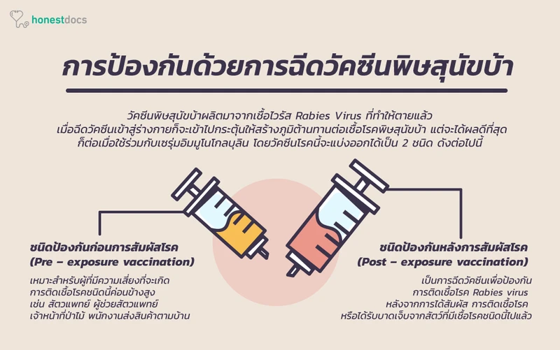 ป้องกันด้วยซีดวัคซีนป้องกันพิษสุนัขบ้า