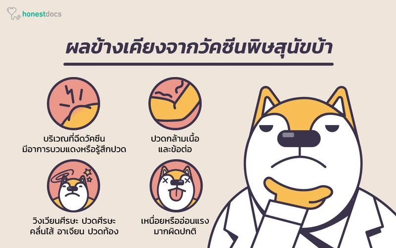 ผลข้างเคียงจากการฉีดวัคซีนพิษสุนัขบ้า
