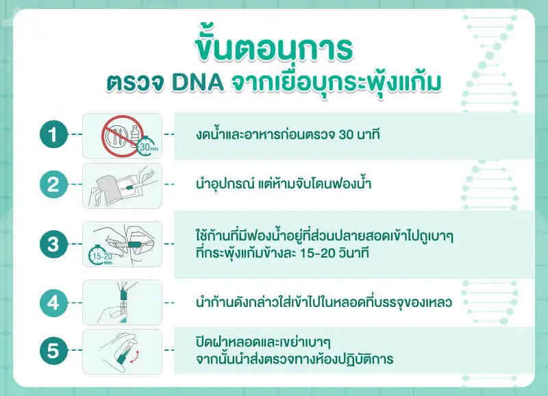 ขั้นตอนการตรวจ DNA จากกระพุ้งแก้ม
