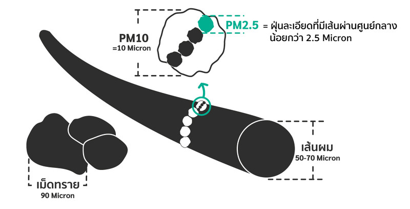 content pm25 01 1