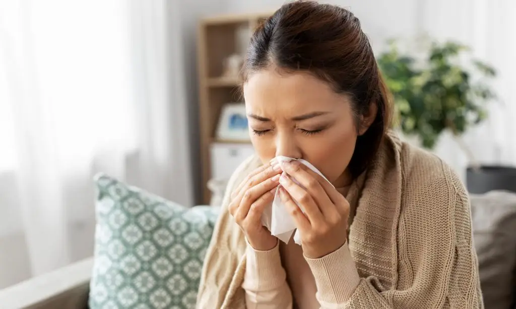 ไข้หวัดใหญ่ไม่ใช่แค่หวัดธรรมดา! รู้สาเหตุ อาการ และวิธีป้องกันที่ถูกต้อง