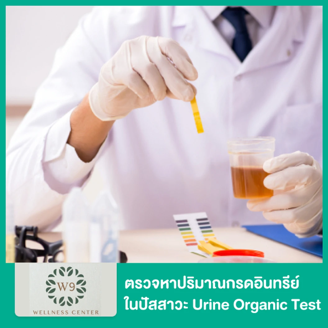 ตรวจหาปริมาณกรดอินทรีย์ในปัสสาวะ Urine Organic Test ที่ W9 Wellness Center โรงพยาบาลพระรามเก้า