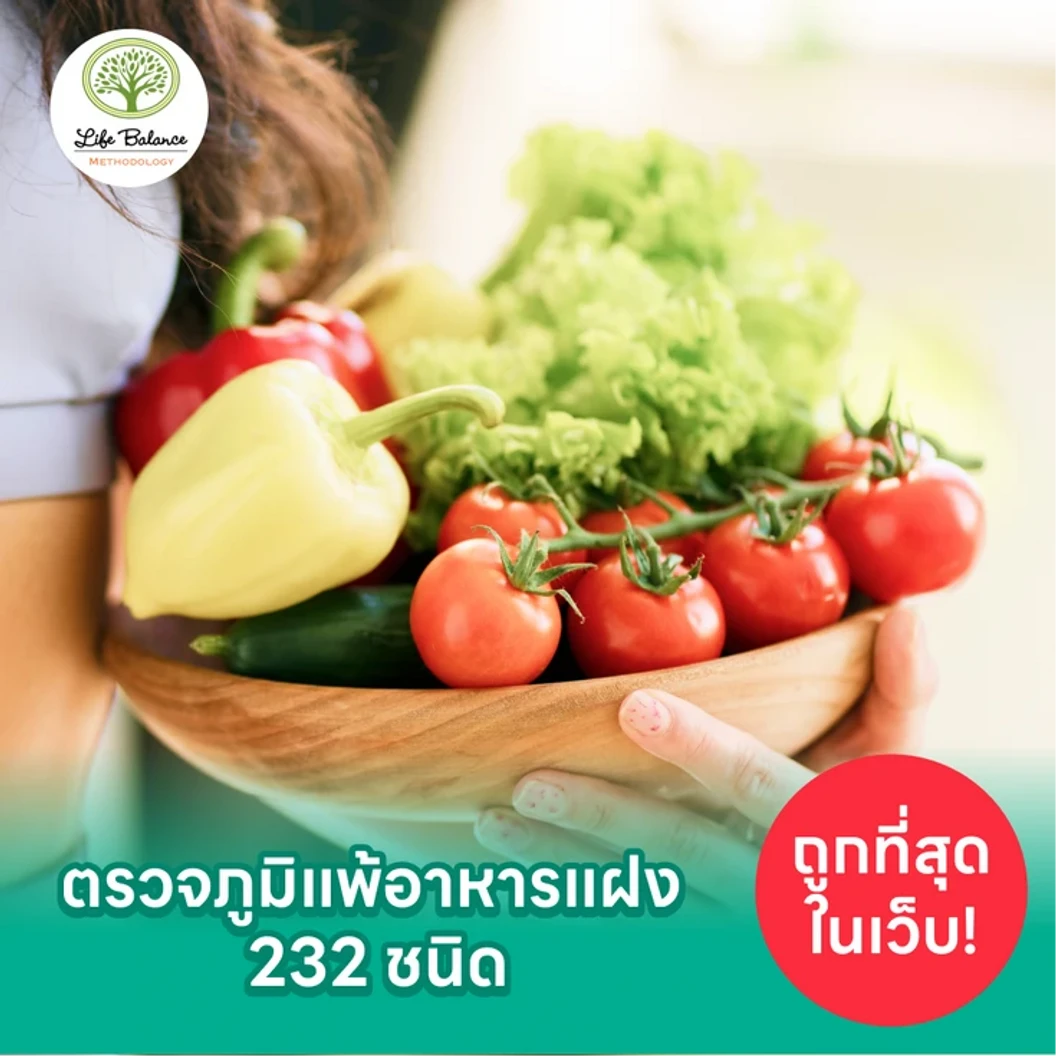 โปรแกรมตรวจภูมิแพ้อาหารแฝง IgG 232 ชนิด ด้วยวิธีเจาะเลือด ฟรี! ตรวจความสมบูรณ์ของเม็ดเลือด 15 รายการ แพ็กเกจ HDmall+ ที่ Life Balance Methodology
