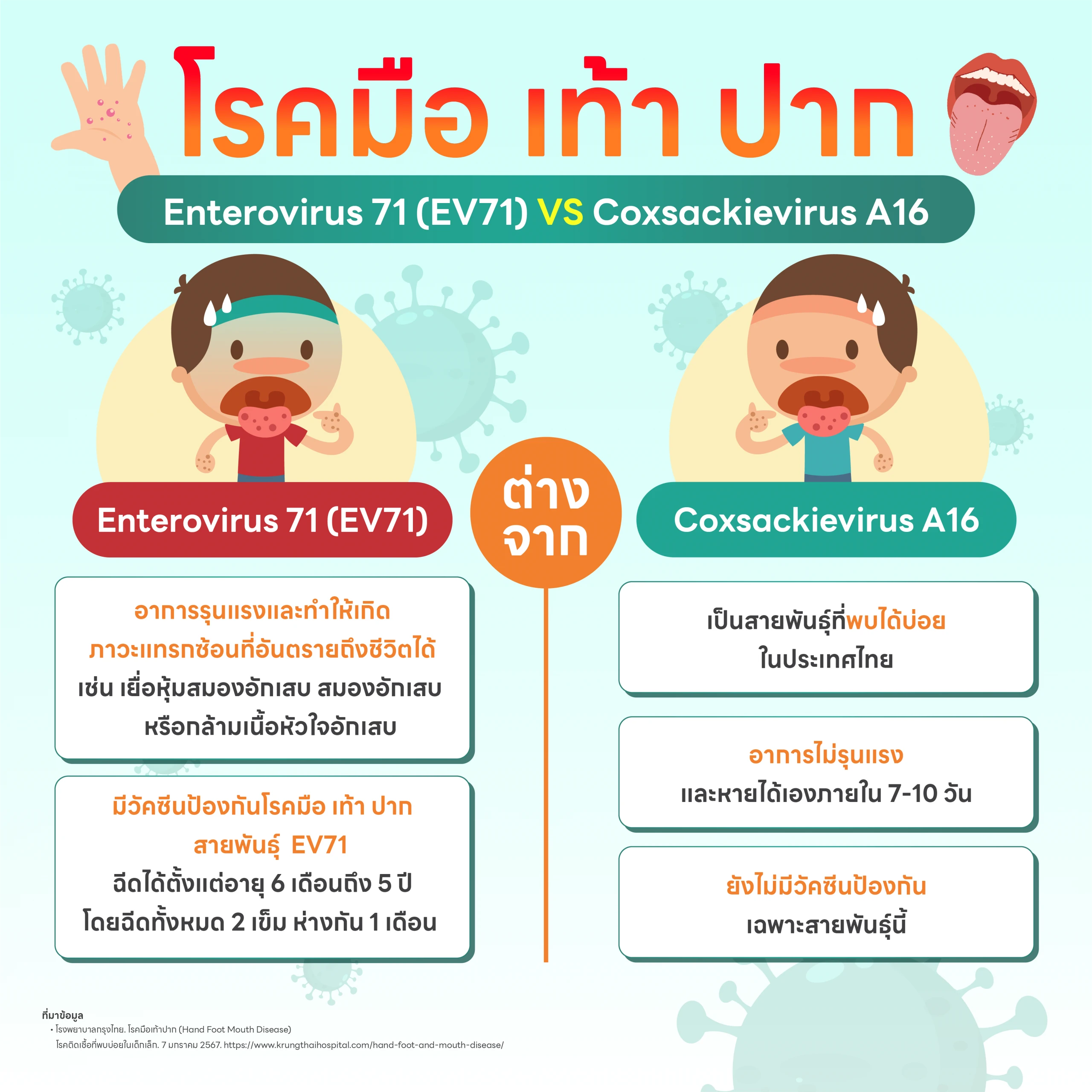 โรคมือ เท้า ปาก สายพันธุ์ EV71 กับสายพันธุ์ Coxsackievirus A16 ต่างกันอย่างไร? มีวัคซีนป้องกันไหม? 3 โรคมือเท้าปาก EV71