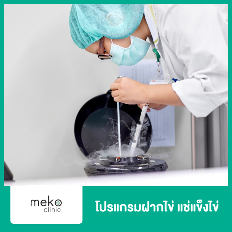 โปรแกรมฝากไข่ แช่แข็งไข่ (ต้องให้แพทย์ประเมินก่อนทำ) ที่ Meko IVF (เมโกะ ไอวีเอฟ)Meko Clinic (เมโกะ คลินิก)