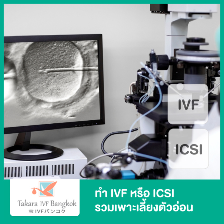 ทำ IVF หรือ ICSI รวมเพาะเลี้ยงตัวอ่อนในเครื่อง Time-lapse Systems Incubator จนถึงระยะบลาสโตซิส ที่ Takara IVF Bangkok