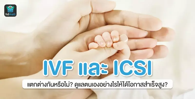 ทำ IVF และ ICSI แตกต่างกันหรือไม่? ดูแลตนเองอย่างไรให้ได้โอกาสสำเร็จสูงบ้าง?