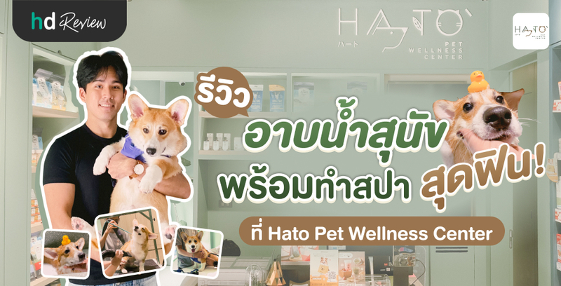 รีวิว อาบน้ำสุนัข พร้อมทำสปาสุดฟิน ที่ Hato Pet Wellness Center